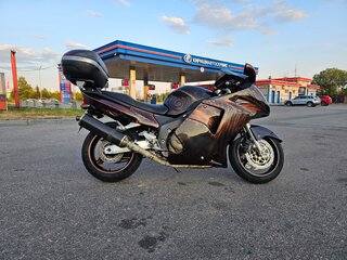1998 Honda CBR 1100 XX, коричневый, 350000 рублей, вид 5