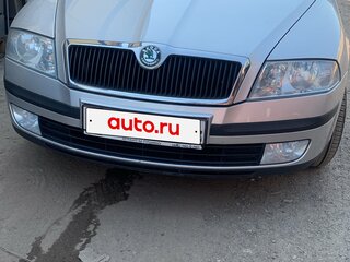 2006 Skoda Octavia II (A5), серый, 860000 рублей, вид 5