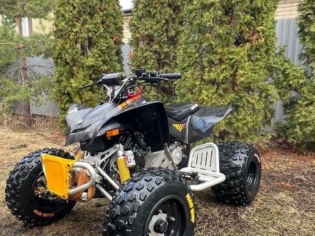 2007 BRP Can-Am DS 90, жёлтый, 280000 рублей, вид 5