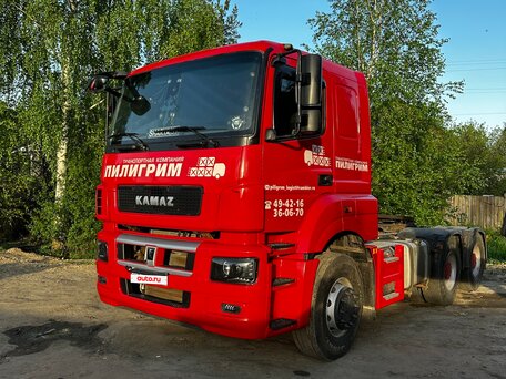 2019 КамАЗ 65206, красный, 3000000 рублей, вид 4