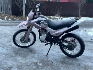 2021 Irbis TTR 250, розовый, 120000 рублей, вид 4