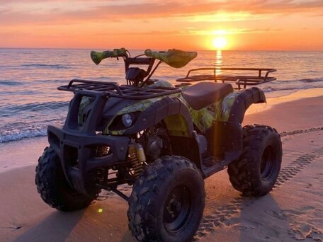 2023 Motoland ATV 250 Adventure, зелёный, 150000 рублей, вид 1