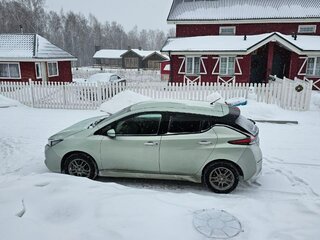 2019 Nissan Leaf II (ZE1), зелёный, 1780000 рублей, вид 3