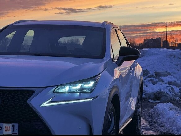 2017 Lexus NX 300 I Рестайлинг, белый, 4520000 рублей - вид 6