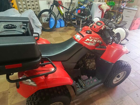 2010 Arctic Cat 300 Series, красный - вид 3