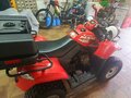 2010 Arctic Cat 300 Series, красный - вид 3