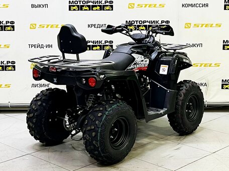 2025 Bison ATV200, чёрный, 219000 рублей, вид 2