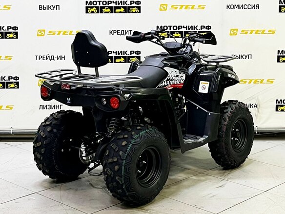 2025 Bison ATV200, чёрный - вид 1