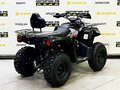 2025 Bison ATV200, чёрный - вид 1