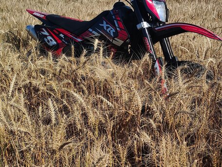 2023 Motoland XR250, красный, 137000 рублей, вид 3