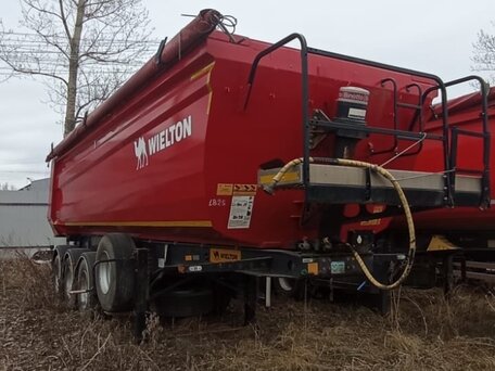 2019 Wielton NW, красный, 3900000 рублей, вид 3