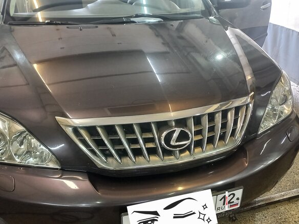 2008 Lexus RX 350 II Рестайлинг, серый, 1200000 рублей - вид 13