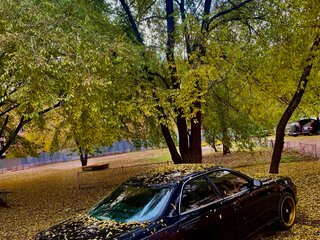 1993 Toyota Mark II VII (X90), чёрный, 530000 рублей, вид 3