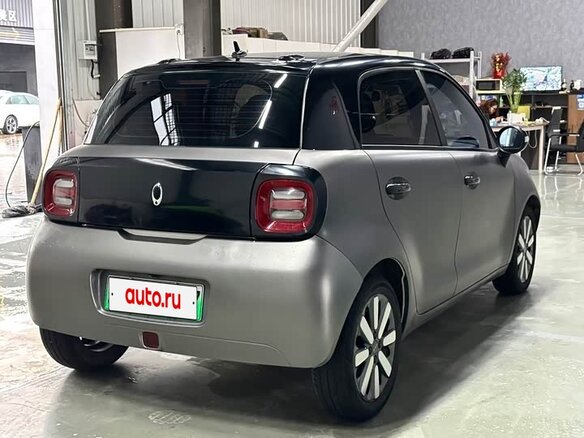 2021 Ora Black Cat 33 kWh, серебристый - вид 6