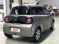 2021 Ora Black Cat 33 kWh, серебристый - вид 6