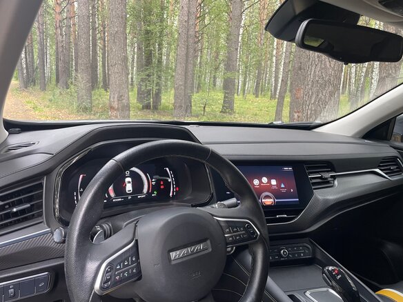 2020 Haval F7x I, серый, 2500000 рублей - вид 7