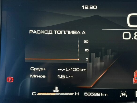 2024 Tank 300 I, серый - вид 18