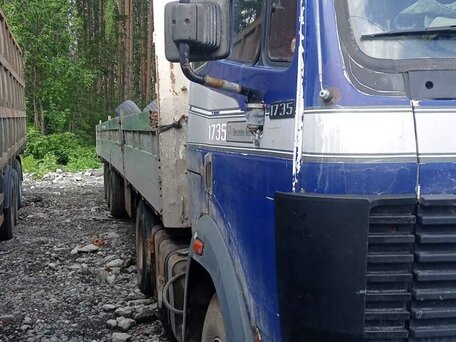 1999 Mercedes-Benz Actros, синий, 200000 рублей, вид 2
