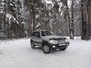 2003 Chevrolet Niva I, серебристый, 320000 рублей, вид 3