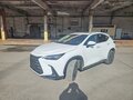 2025 Lexus NX 200 II, белый, 6150000 рублей