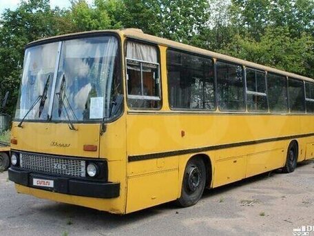1989 Ikarus 260/263, золотистый, 548784 рублей, вид 3