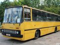 1989 Ikarus 260/263, золотистый, 551882 рублей - вид 2