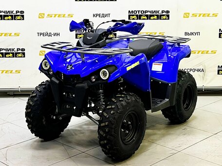 2025 Bison ATV200, синий, 219000 рублей, вид 1