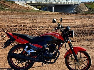 Racer Tiger