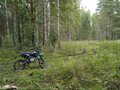 2023 Regulmoto Seven Medalist 150E, голубой, 80000 рублей - вид 1
