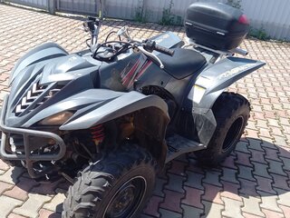 2008 Yamaha Grizzly 450 (YFM450), серебристый, 640000 рублей, вид 1