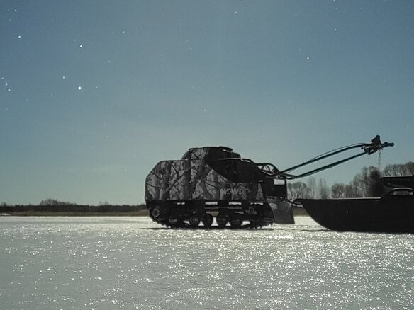 2019 Baltmotors Snowdog, белый, 200000 рублей