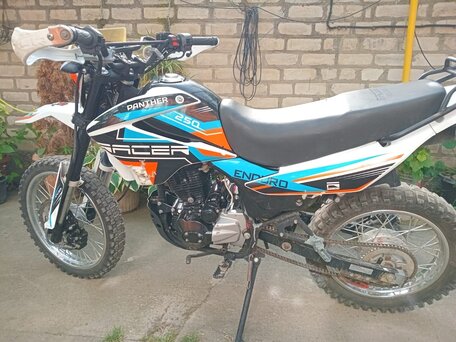 2019 Racer Panther, белый, 89999 рублей, вид 4