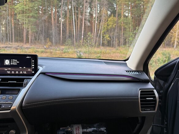 2018 Lexus NX 300 I Рестайлинг, серебристый, 3700000 рублей - вид 21