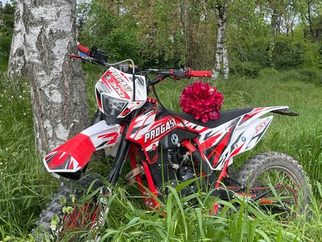 2025 Progasi Super Max 300, красный, 140000 рублей, вид 3