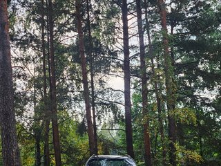 2001 BMW 5 серии 525i IV (E39) Рестайлинг, синий, 530000 рублей, вид 4