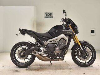 2014 Yamaha MT-09 (FZ-09), пурпурный, 777000 рублей, вид 2