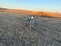 2025 BSE PH 125, зелёный, 95000 рублей