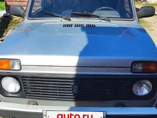2010 Lada (ВАЗ) 2131 (4x4) Рысь I, серебристый, 220000 рублей, вид 3