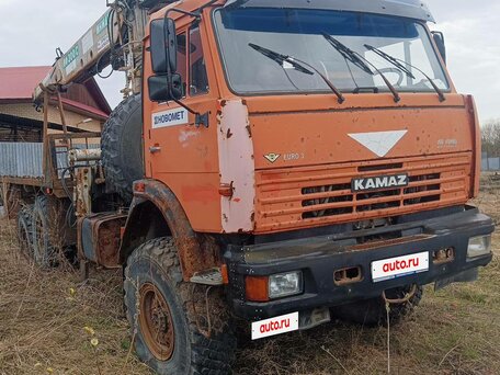 2009 КамАЗ 43118, оранжевый, 2900000 рублей, вид 2