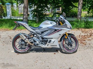 2019 Yamaha YZF-R3, серебристый, 700000 рублей, вид 1