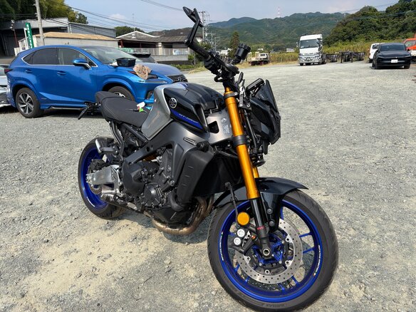 2022 Yamaha MT-09 (FZ-09), серый, 1055000 рублей - вид 15