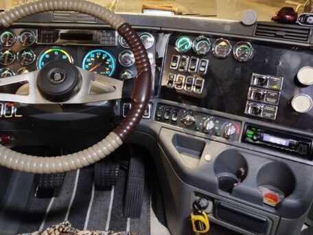2004 Freightliner Columbia, коричневый, 3500000 рублей, вид 2
