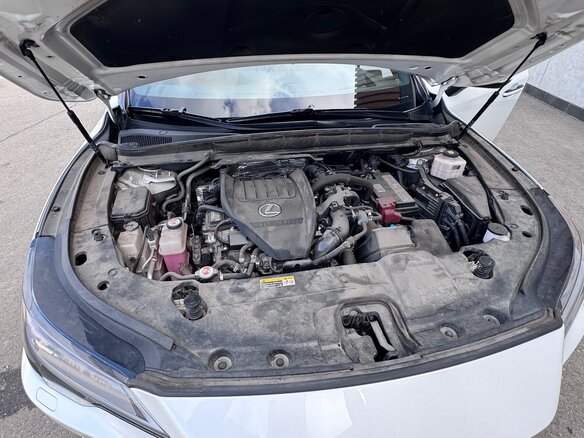 2023 Lexus RX 350 V, белый, 8400000 рублей - вид 19