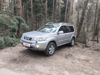 2004 Nissan X-Trail I Рестайлинг, серый, 600000 рублей, вид 1