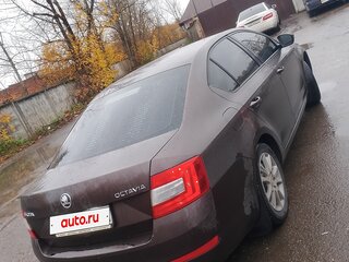 2014 Skoda Octavia III (A7), коричневый, 850000 рублей, вид 3