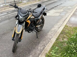 2022 Avantis MT300, жёлтый, 130000 рублей, вид 4