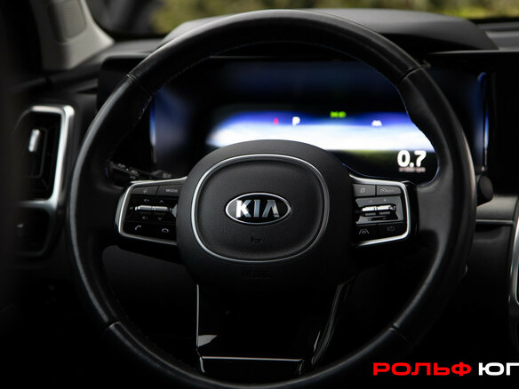 2020 Kia Sorento IV, серый, 3848000 рублей - вид 13