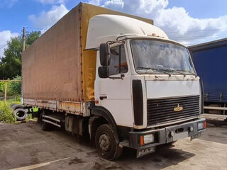 2006 МАЗ 4370, белый, 535000 рублей, вид 1