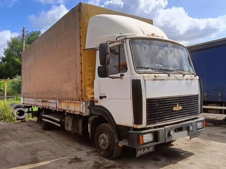 2006 МАЗ 4370, белый, 535000 рублей, вид 1