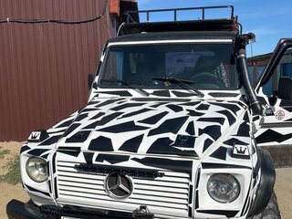 1993 Mercedes-Benz G-Класс 250 II (W463), белый, 850000 рублей, вид 2